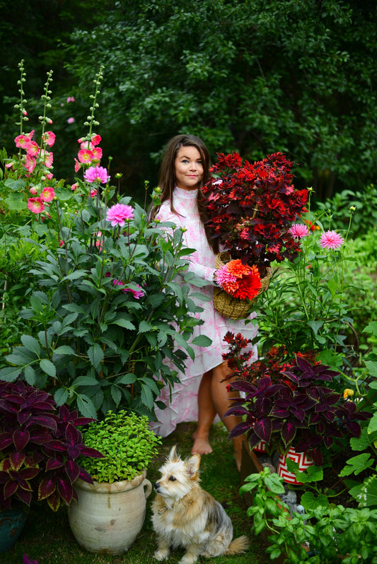 KIBUSHI FÖR VÄXTER