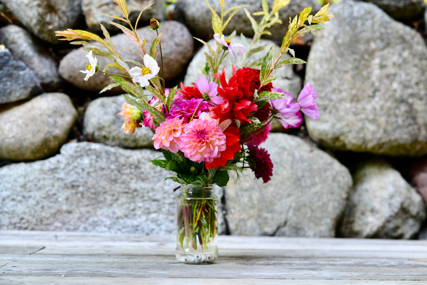 KIBUSHI FÖR VÄXTER