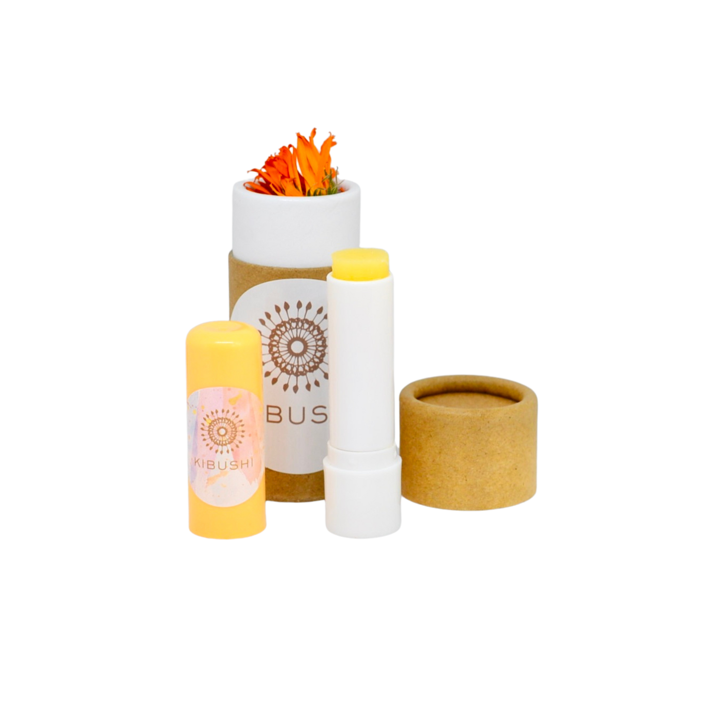 Kibushi Cerat – Ringblomma