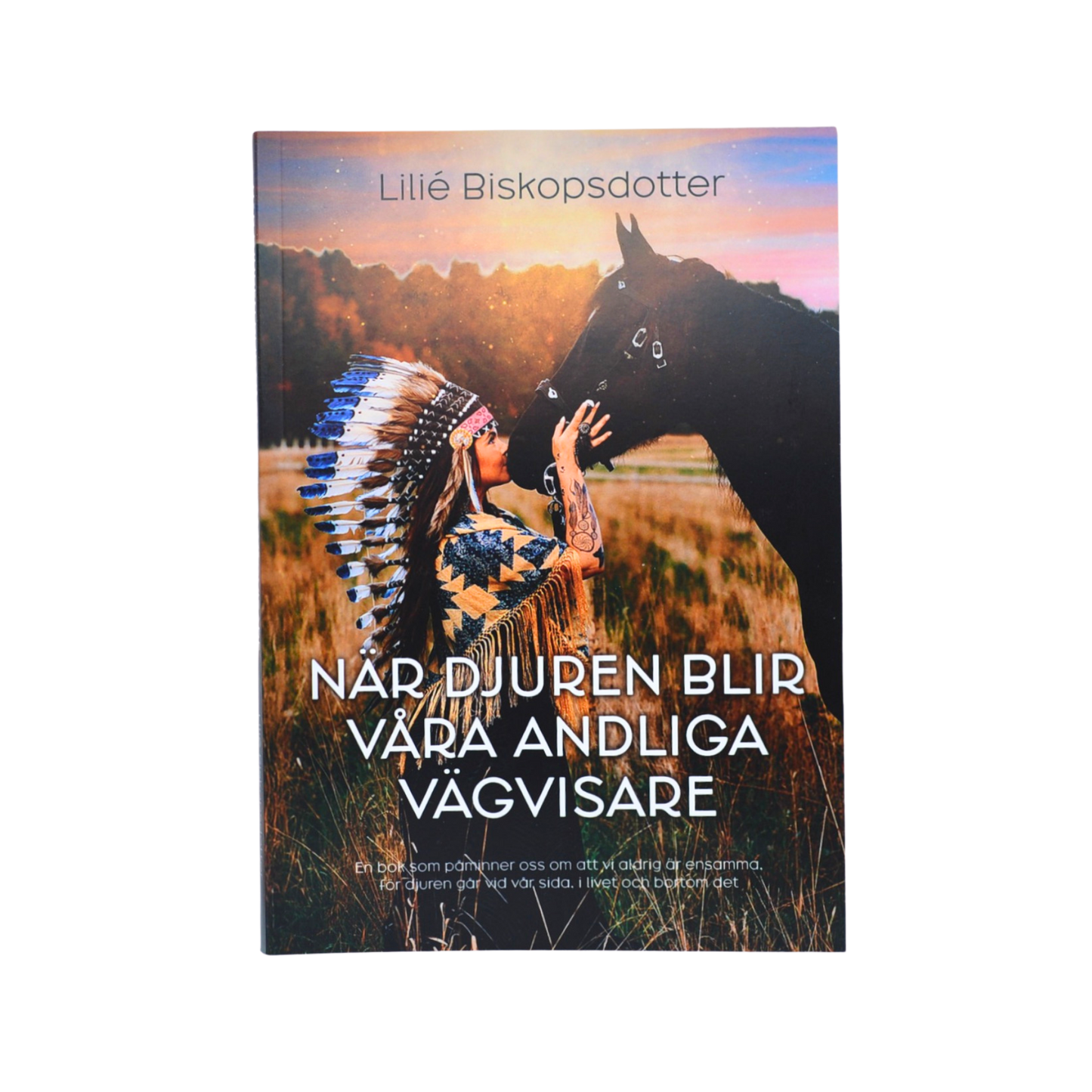När djuren blir våra andliga vägvisare - Boken