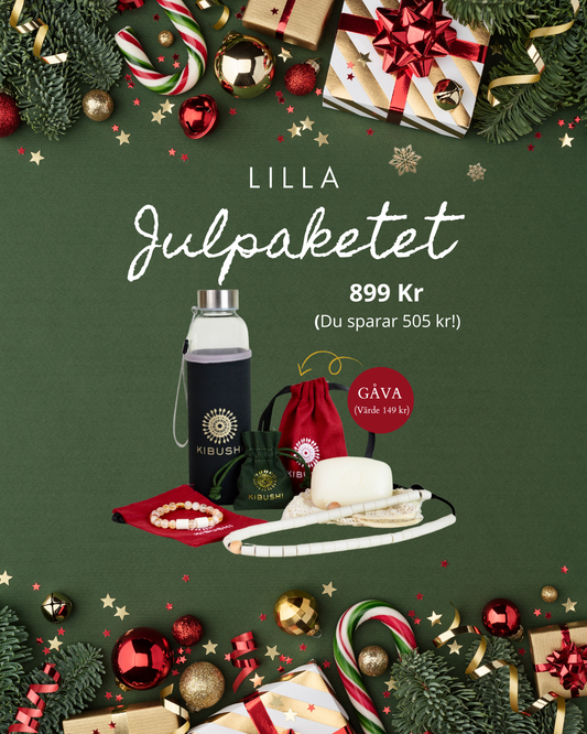 Lilla Julpaketet