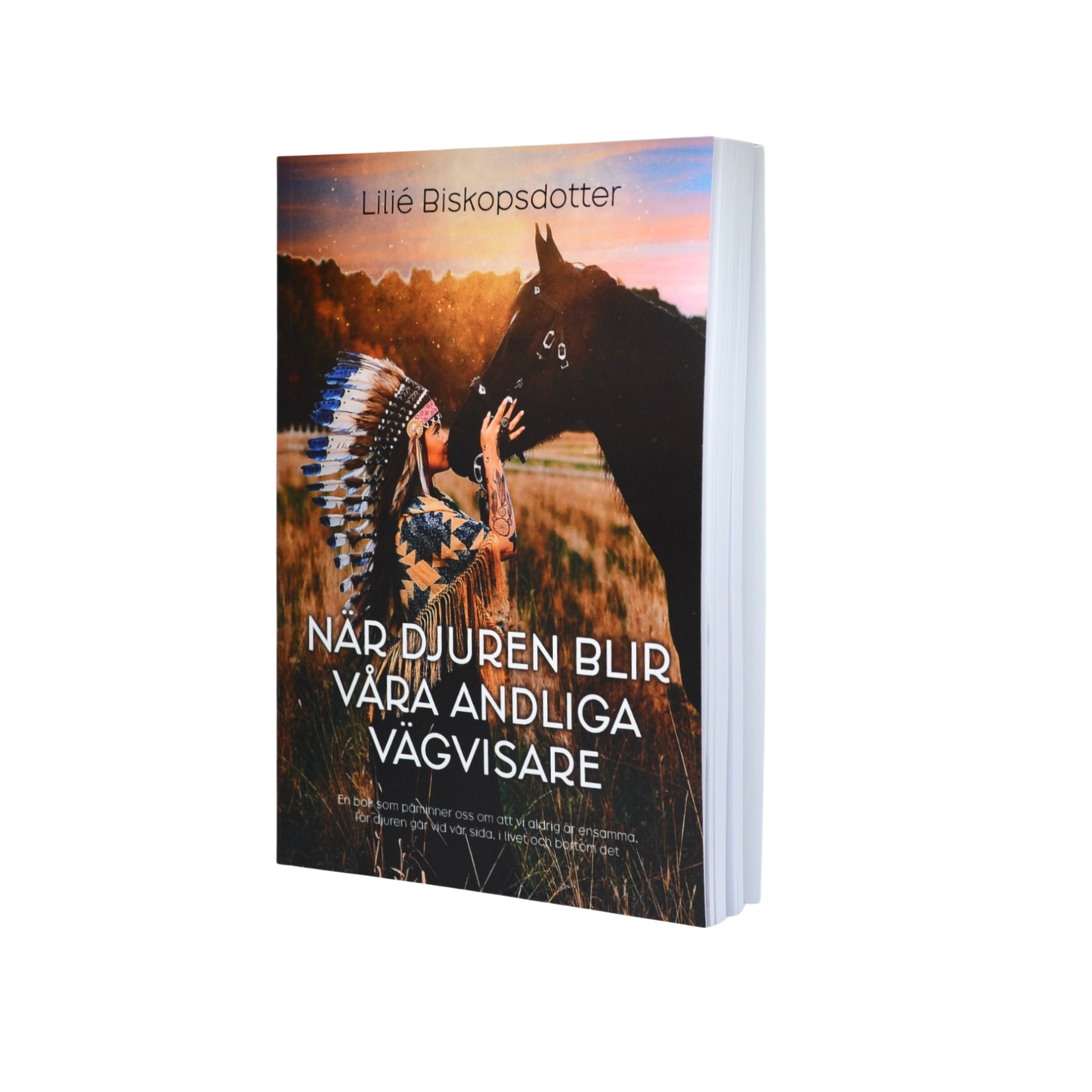 När djuren blir våra andliga vägvisare - Boken