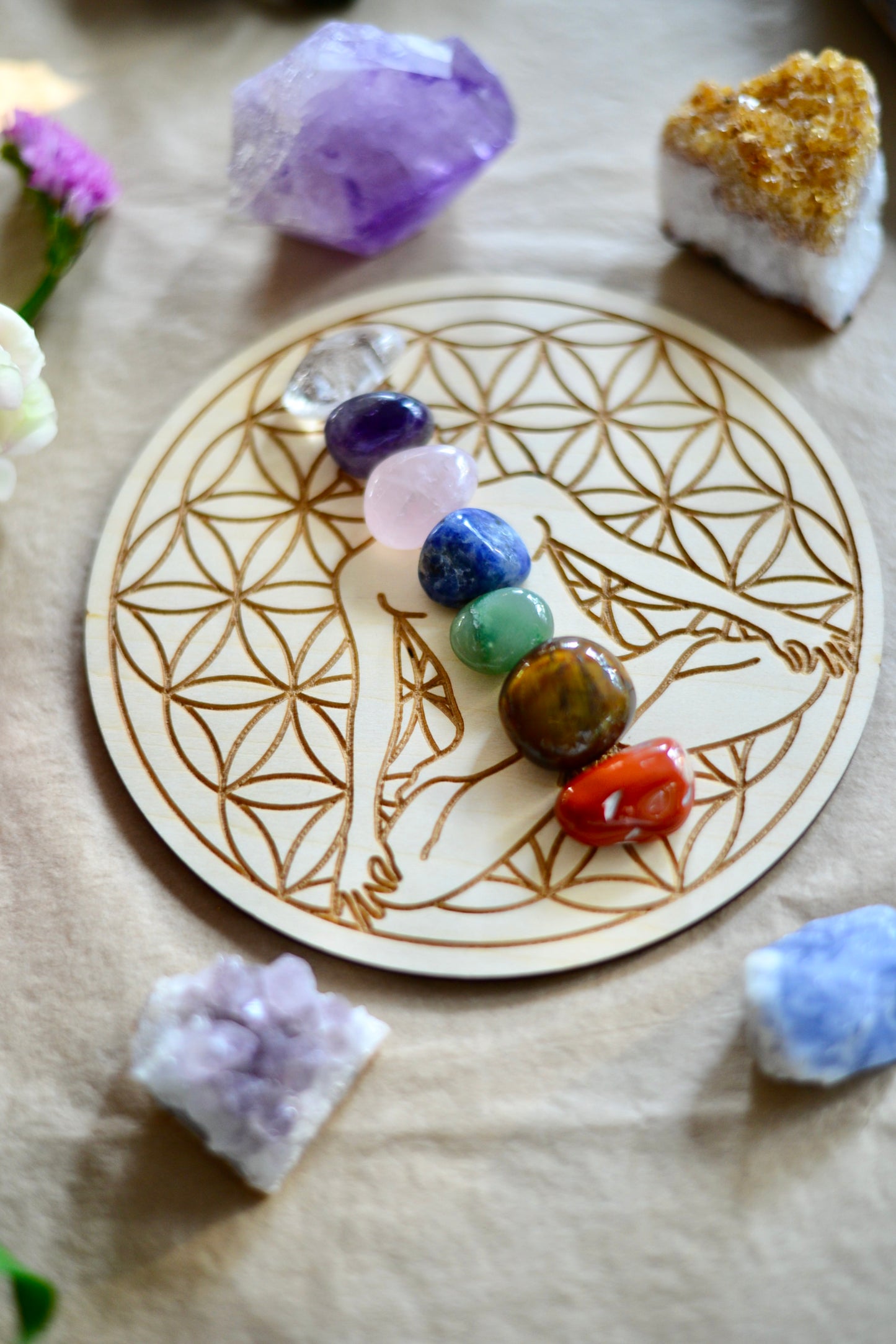 CHAKRA TAVLA