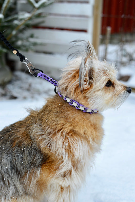 Djurhalsband med D-ring – Violet Pattern