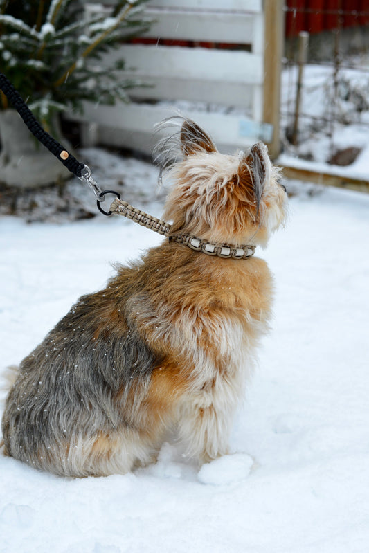 Djurhalsband med D-ring – Sand Camo