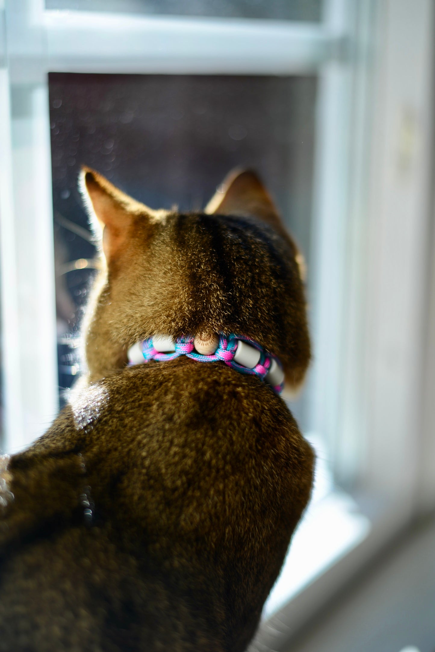 VÅRNYHET - ROSA/TURKOS