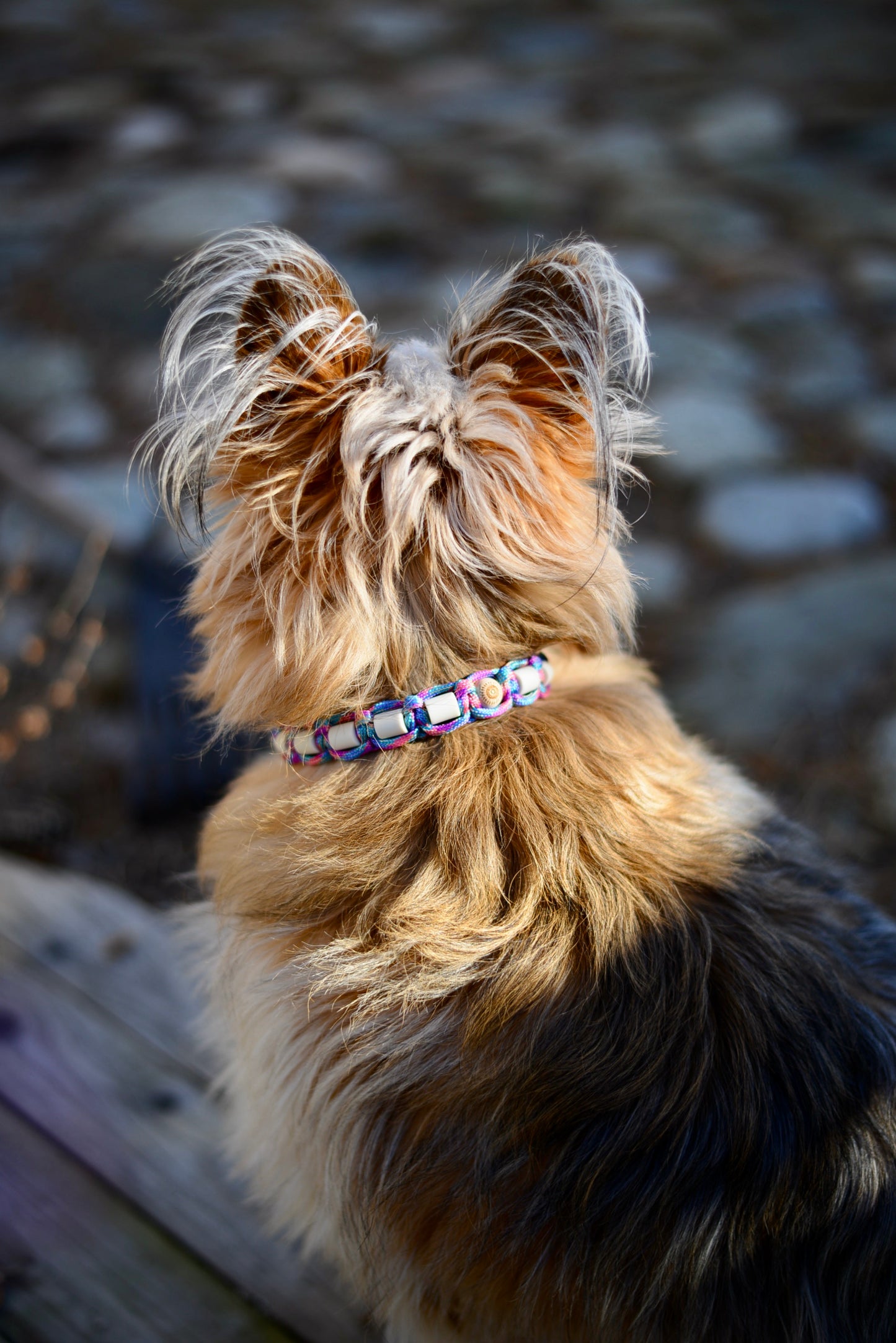 VÅRNYHET - LILA/TURKOS