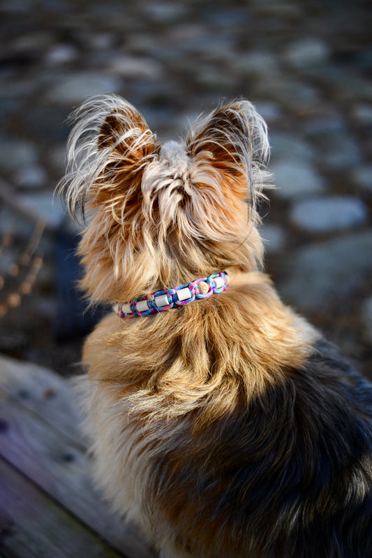 VÅRNYHET - LILA/TURKOS