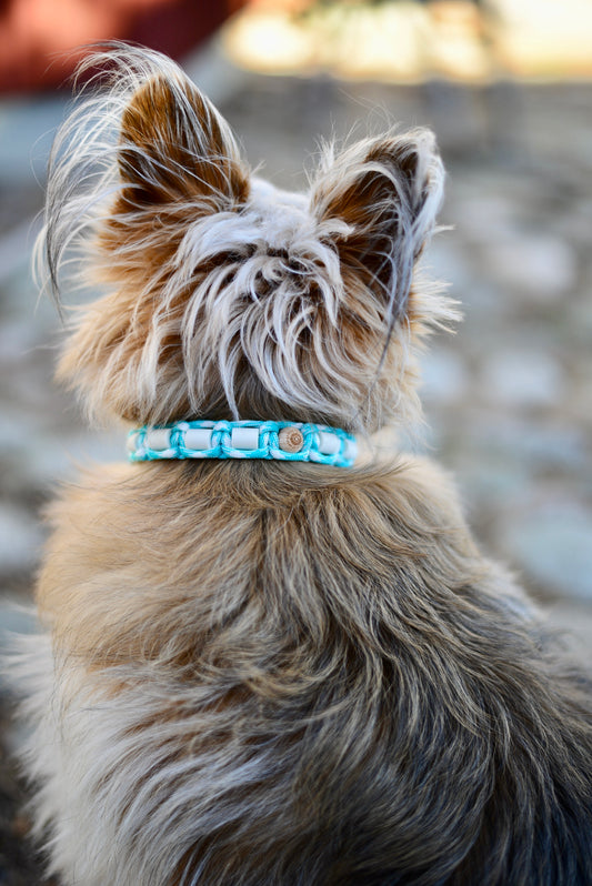 VÅRNYHET - TURKOS/VIT